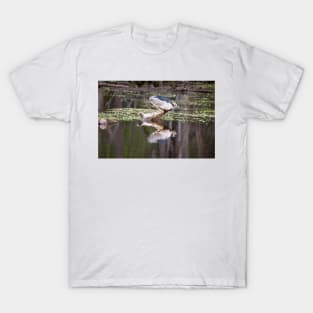 Black-crowned Night Heron T-Shirt